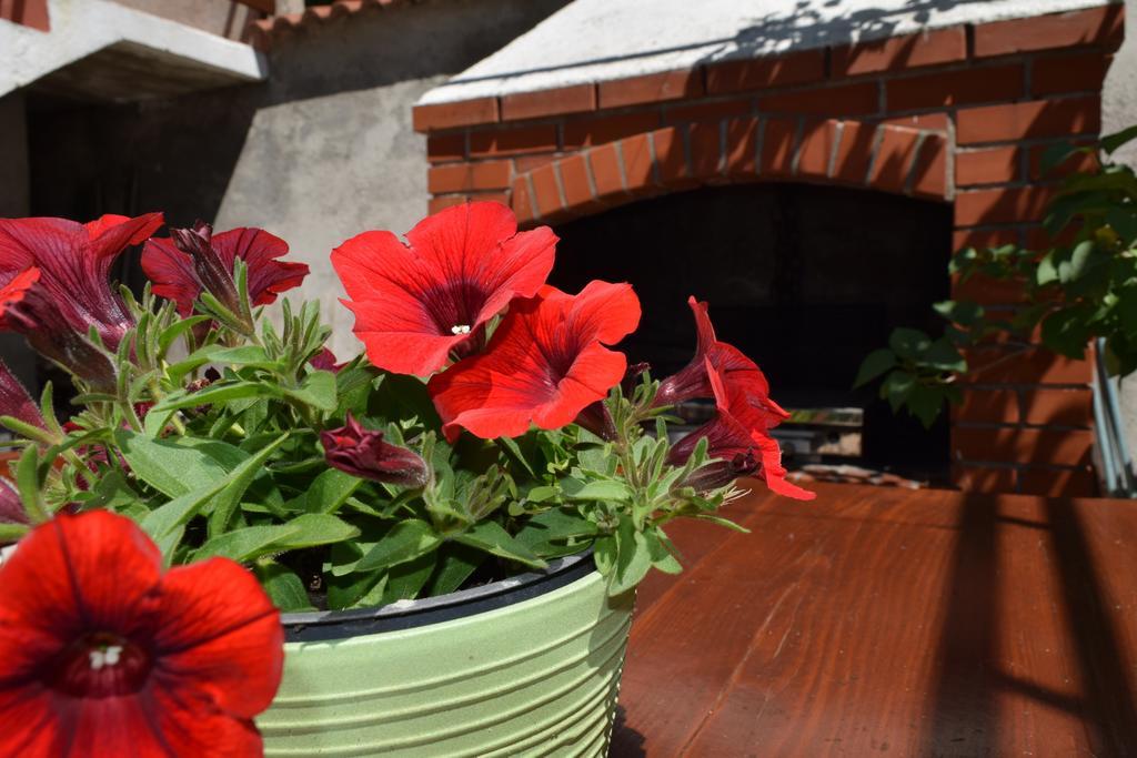 Peter Pan Apartments Palit Dış mekan fotoğraf